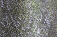 Creegbrawse fibreglass roof work